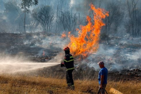 'Extreme risk' of forest fires due to heatwave and strong westerly winds in Spain's Valencia region