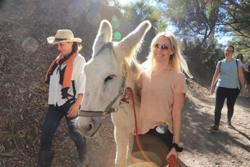 Walk with donkeys Donkey Dreamland Costa del Sol