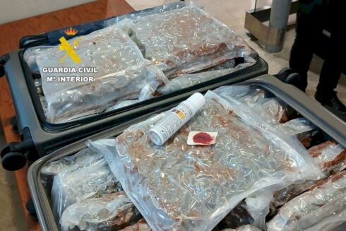 British 'tourists' jailed after trying to smuggle 33 kilos of marijuana into Spain