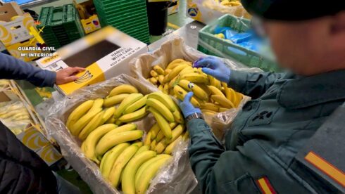 Fruit warehouse could be fined €3m over massive banana scam in Spain