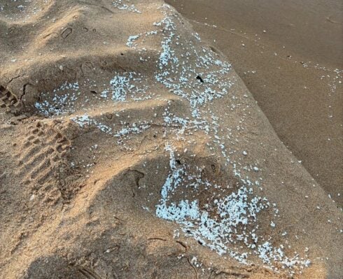 Valencia beaches get 'all clear' after mystery pellets are confirmed as non-toxic
