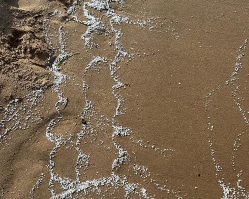 Seven beaches remain closed for a second day due to pollution fears in Valencia