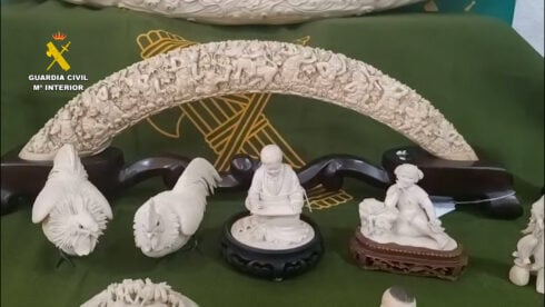 Police unveil one Spain's biggest-ever seizures of illegal elephant ivory items